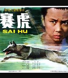 赛虎