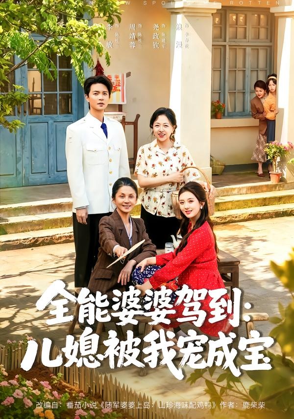 全能婆婆驾到：儿媳被我宠成宝
